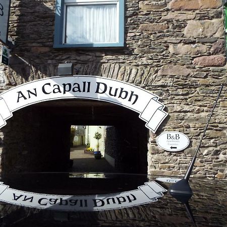 Dingle Centre Townhouse An Capall Dubh Dingle Exterior photo