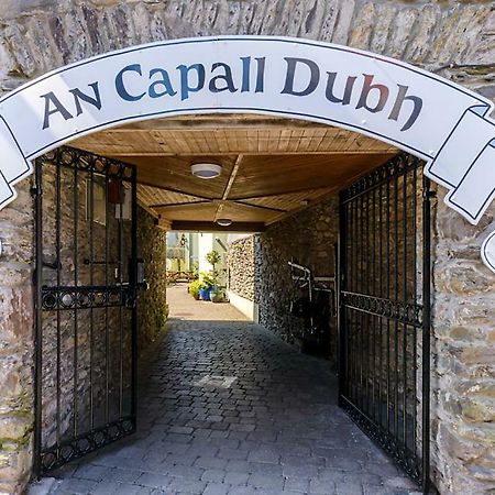 Dingle Centre Townhouse An Capall Dubh Dingle Exterior photo