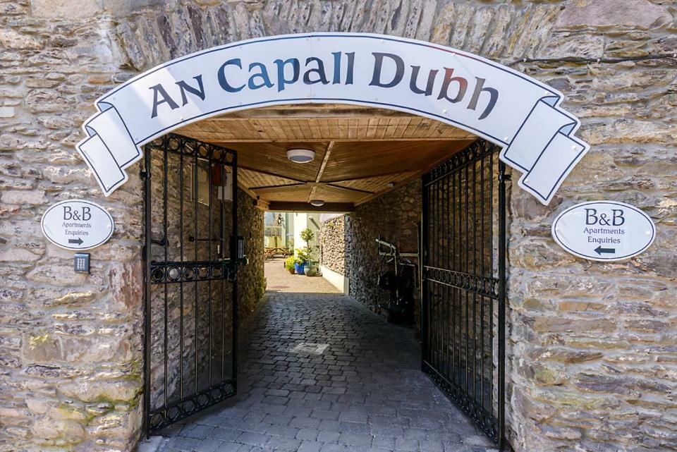 Dingle Centre Townhouse An Capall Dubh Dingle Exterior photo