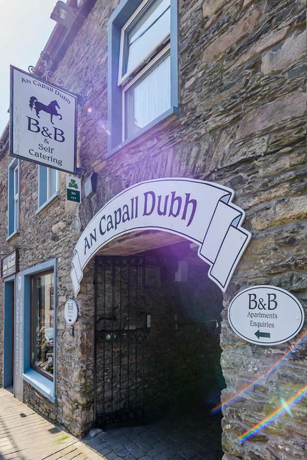 Dingle Centre Townhouse An Capall Dubh Dingle Exterior photo